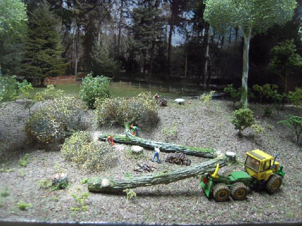 Maquette pédagogique réalisée pour la Maison de le Forêt Du Mans par Laurent Eleaume (© Le Mans Metropôle)